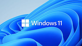 Windows 11 Logost1